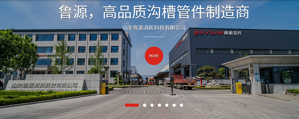 山东鲁源管件有限公司